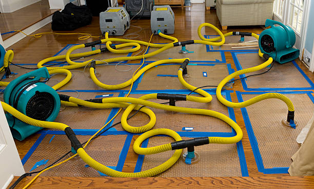 Professional Water Damage Repair technician working in Page, WV