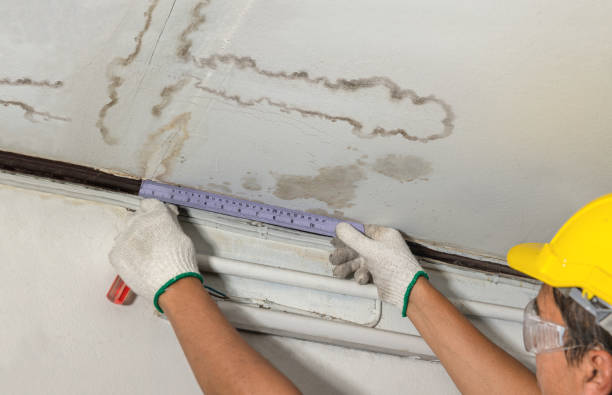 Affordable Water Damage Repair solutions in Page, WV